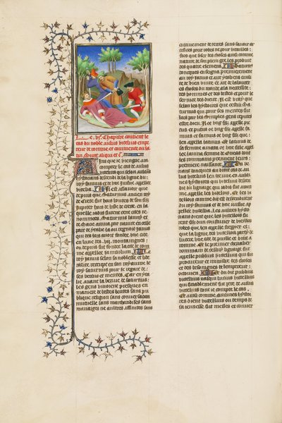 The Assassination of the Emperor Vitellius by Unbekannt Unbekannt